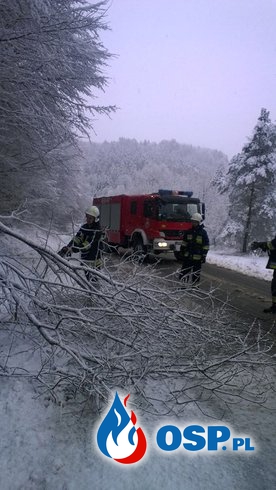 Zima odwiedziła Bieszczady - OSP Polańczyk w akcji OSP Ochotnicza Straż Pożarna