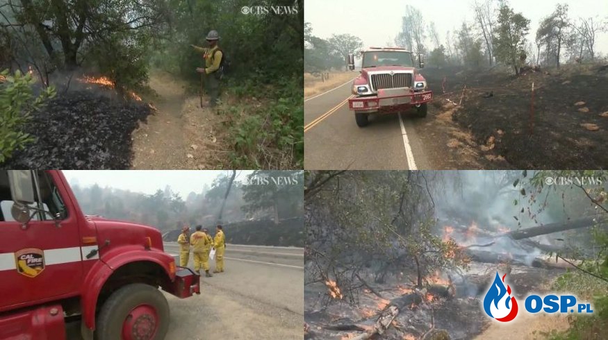 Ogromne pożary w USA. Z ogniem walczy 12 tys. strażaków, dwóch z nich zginęło. OSP Ochotnicza Straż Pożarna
