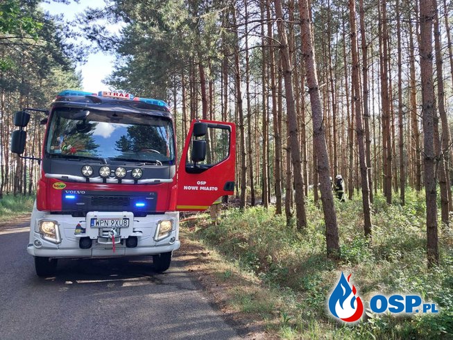 Pożar lasu Zawady Stare OSP Ochotnicza Straż Pożarna