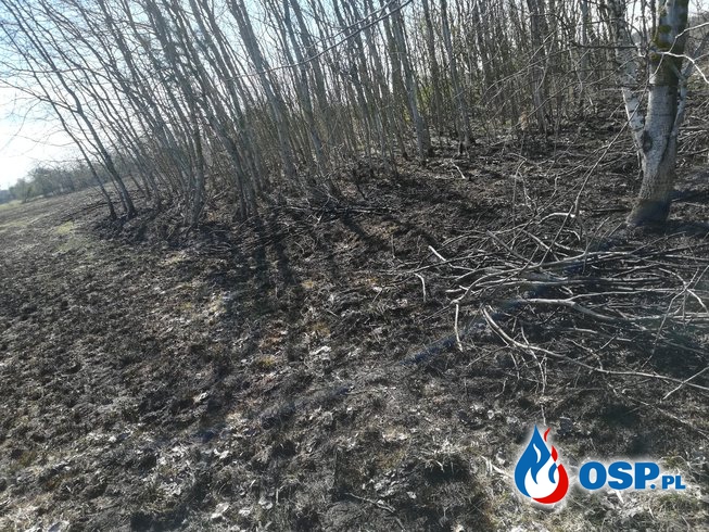 Pożar traw w Luszewie OSP Ochotnicza Straż Pożarna