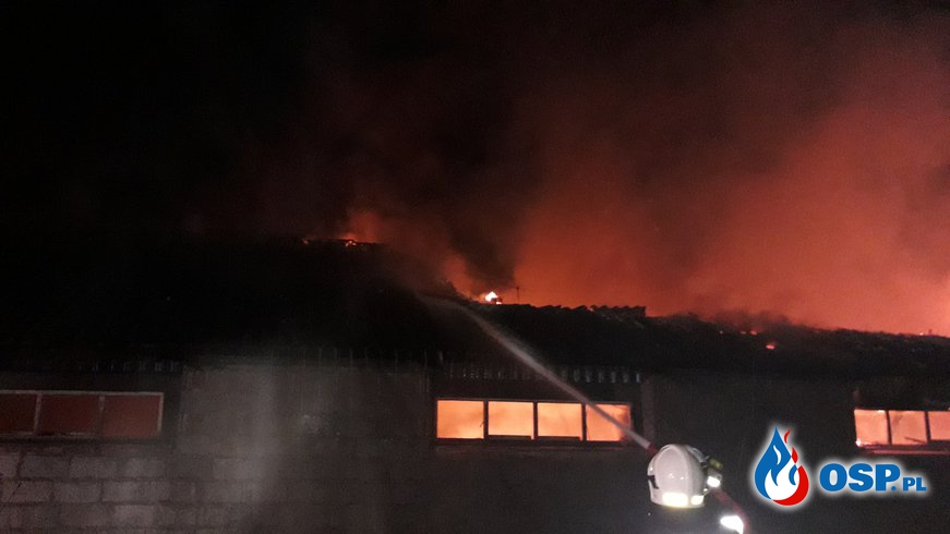Pożar opuszczonej chlewni po raz drugi OSP Ochotnicza Straż Pożarna