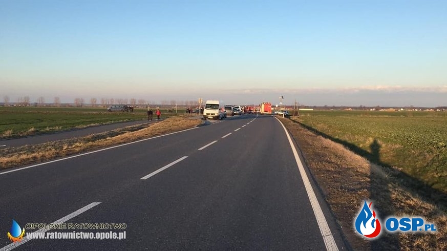 Tragiczny wypadek na trasie pomiędzy Opolem i Prudnikiem. Jedna osoba zginęła. OSP Ochotnicza Straż Pożarna