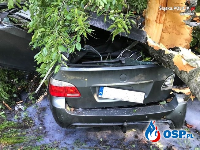 BMW roztrzaskało się na drzewie. Kierowca cudem przeżył. OSP Ochotnicza Straż Pożarna