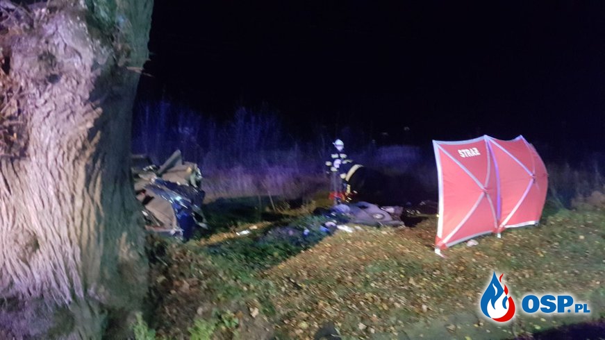 Dwóch 19-latków zginęło na Lubelszczyźnie. Auto roztrzaskało się na drzewie. OSP Ochotnicza Straż Pożarna