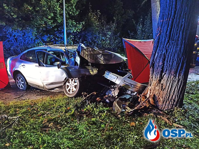 Auto rozbiło się na drzewie, zginął kierowca. "Nie miał zapiętych pasów bezpieczeństwa." OSP Ochotnicza Straż Pożarna