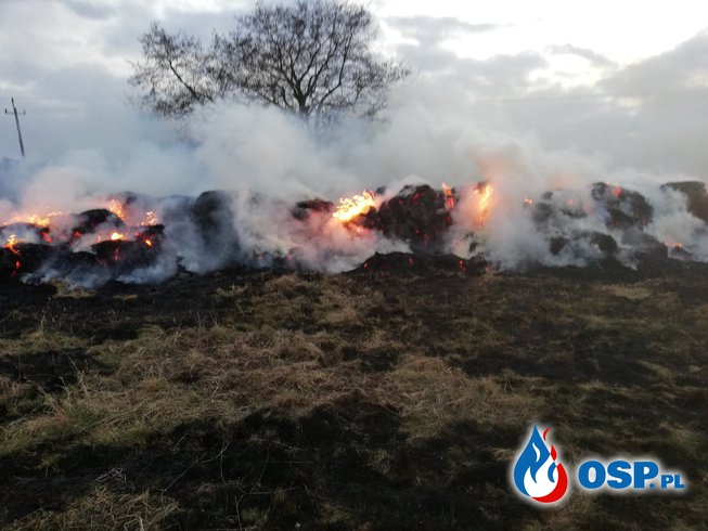 Pożar traw na nieużytkach- Łomy 25.02.2018 OSP Ochotnicza Straż Pożarna
