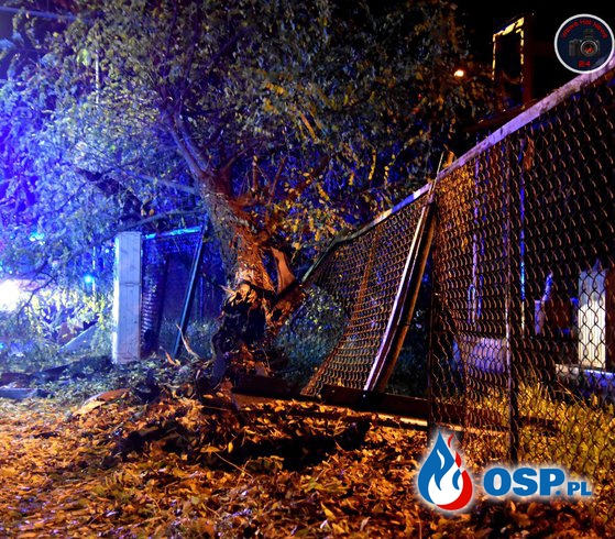 Pijany kierowca BMW rozbił auto na drzewie. Z auta odpadły koła. OSP Ochotnicza Straż Pożarna