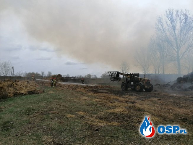 36-godzinna akcja gaśnicza pod Krośniewicami. Płonęła sterta słomy. OSP Ochotnicza Straż Pożarna