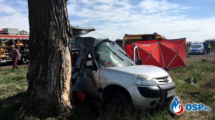 Tragedia pod Gnieznem. 18-latka nie żyje, dwie osoby ciężko ranne. OSP Ochotnicza Straż Pożarna