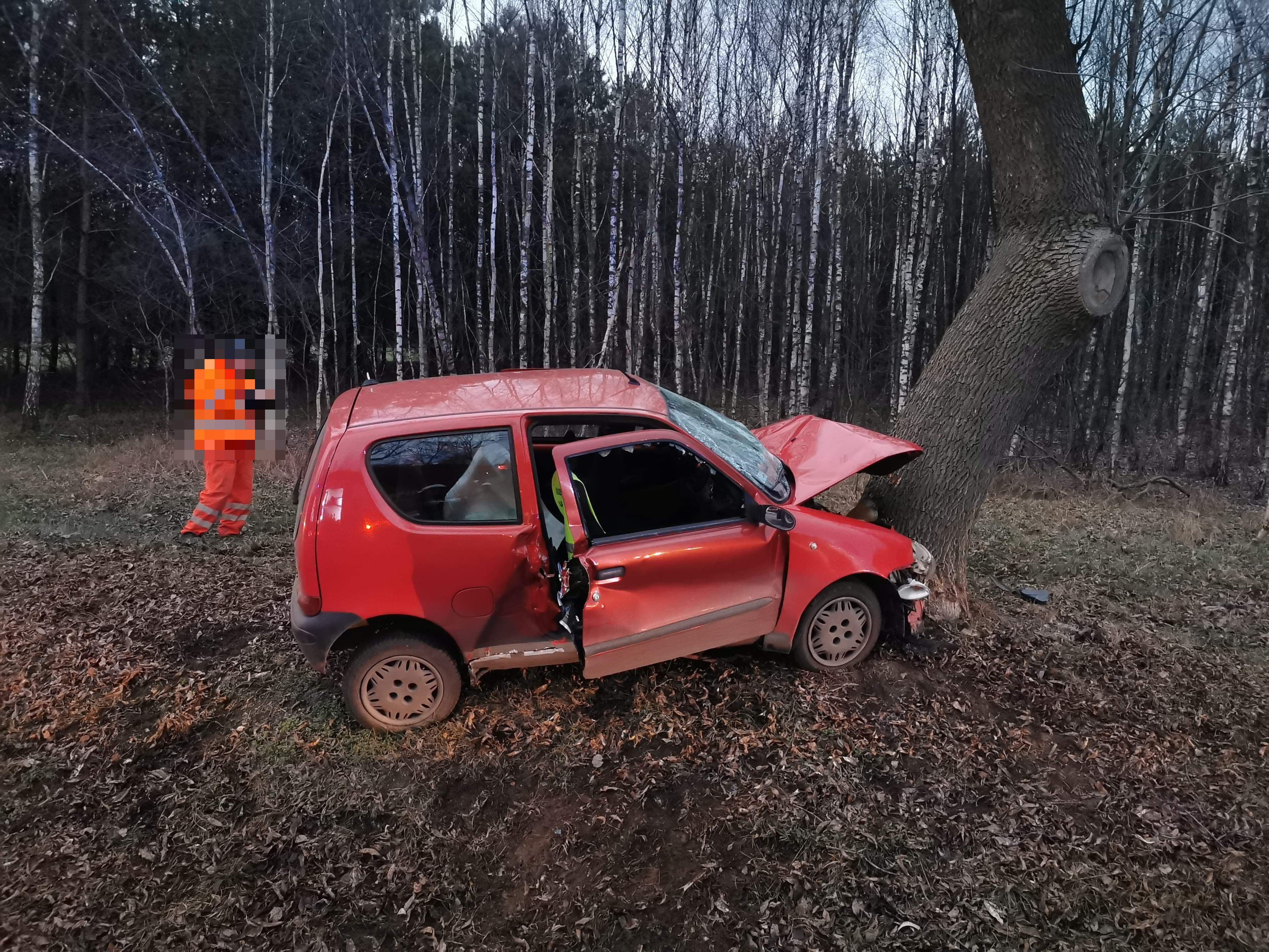 Samochód uderzył w drzewo Wypadek na DK60 [ZDJĘCIA] osp.pl